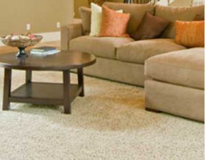 Room with Carpeting in Davie, Weston, Coral Springs, Parkland, Plantation, Broward, and Surrounding Areas